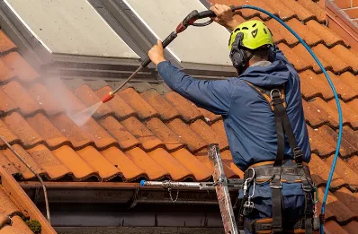 Démoussage et hydrofuge de toiture à Fresselines